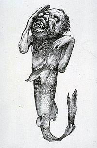Banums angebliche Fidschi-Meerjungfrau